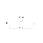 Soffione tondo con braccio doccia Paffoni modello Master diametro 225 mm satinato